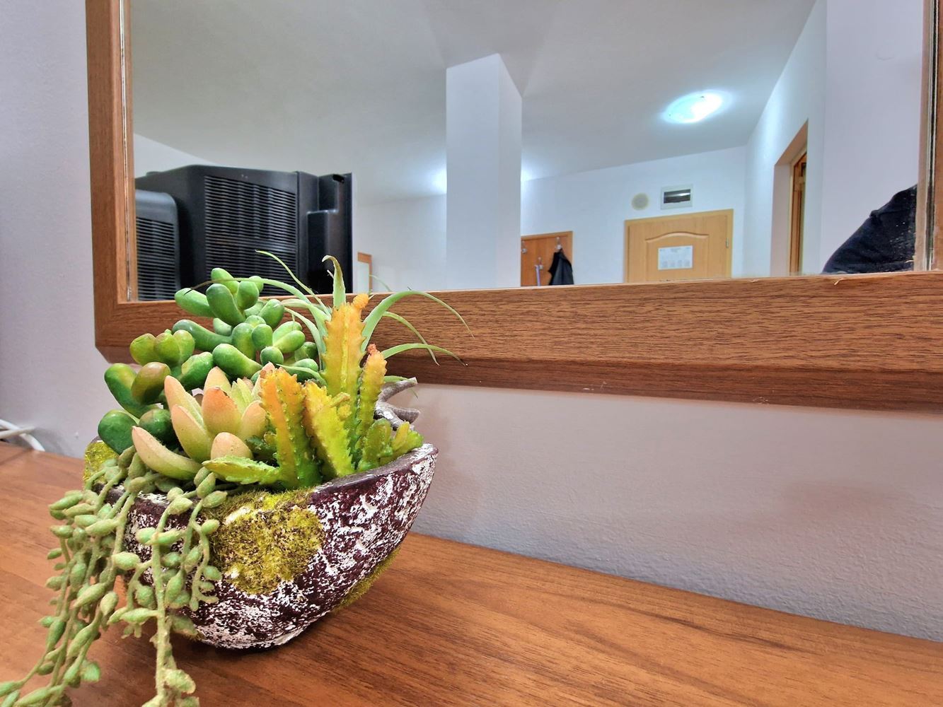 Панорамная студия на последнем этаже в Солнечном берегу – тишина, простор и ощущение свободы