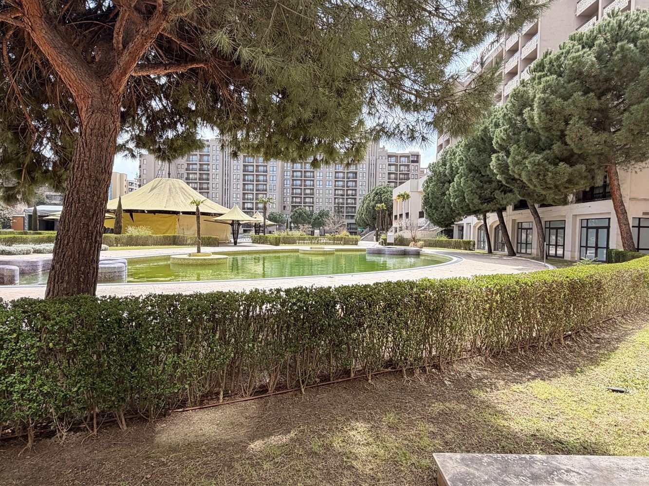 Эксклюзивная студия с садом и прямым доступом к бассейну – в 100 м от моря в Солнечном берегу