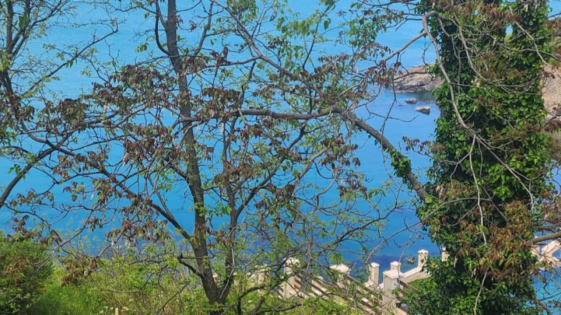 Мезонет на первой линии моря в Созополе с панорамными видами и бутик-локацией