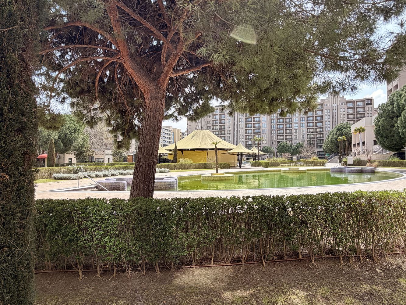 Эксклюзивная студия с садом и прямым доступом к бассейну – в 100 м от моря в Солнечном берегу